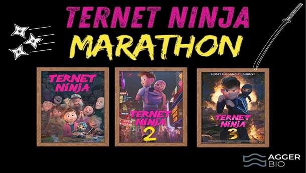 Ternet Ninja Marathon